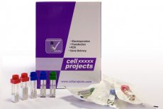Cell Fusion 1mm cuvettes Cell Fusion 1mm cuvettes